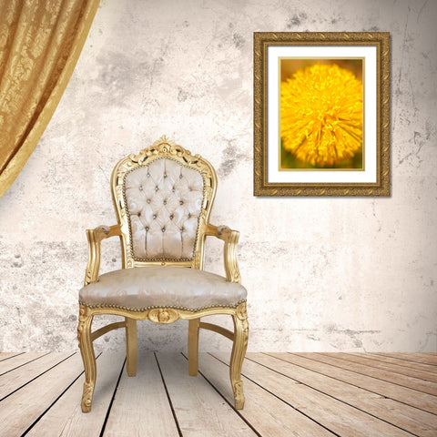 Yellow Ball I Gold Ornate Wood Framed Art Print with Double Matting by Grayscale
