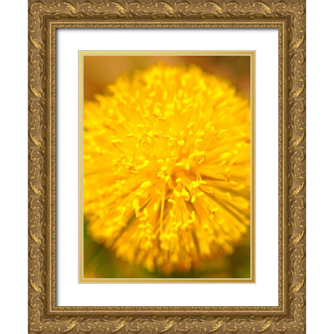 Yellow Ball I Gold Ornate Wood Framed Art Print with Double Matting by Grayscale