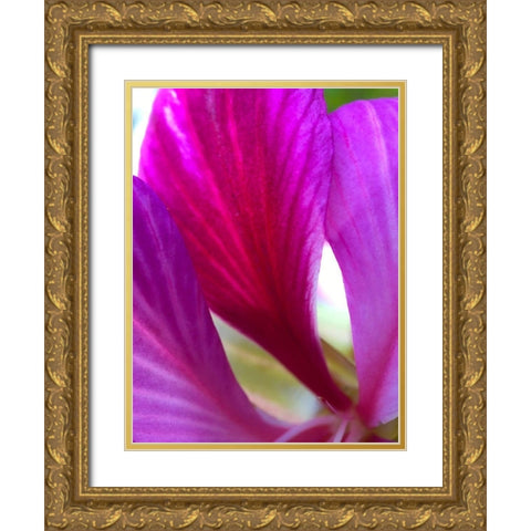 Pink Leaves II Gold Ornate Wood Framed Art Print with Double Matting by Grayscale