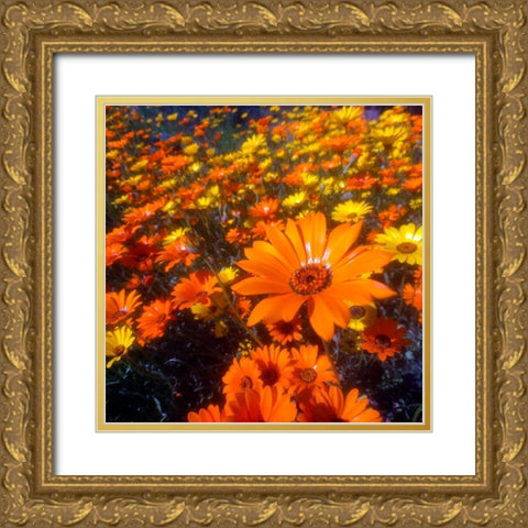 Wildflower Field I Gold Ornate Wood Framed Art Print with Double Matting by Grayscale