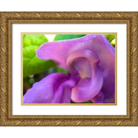 Snail Bloom II Gold Ornate Wood Framed Art Print with Double Matting by Grayscale