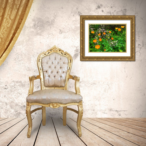 Orange Poppy Nest I Gold Ornate Wood Framed Art Print with Double Matting by Grayscale