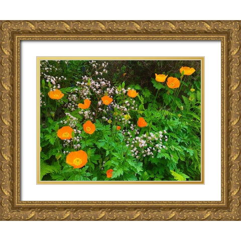 Orange Poppy Nest I Gold Ornate Wood Framed Art Print with Double Matting by Grayscale