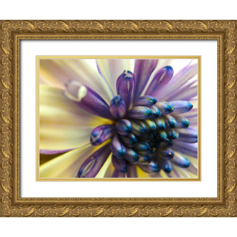 Bloom I Gold Ornate Wood Framed Art Print with Double Matting by Grayscale
