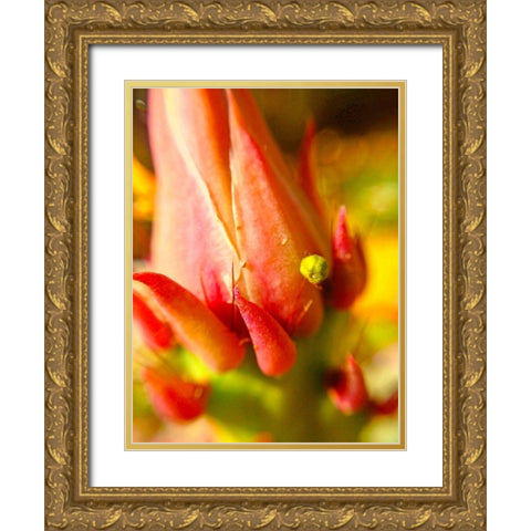 Natural Crown I Gold Ornate Wood Framed Art Print with Double Matting by Grayscale