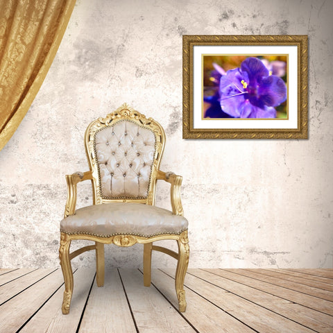 Purple Bloom I Gold Ornate Wood Framed Art Print with Double Matting by Grayscale