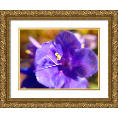 Purple Bloom I Gold Ornate Wood Framed Art Print with Double Matting by Grayscale