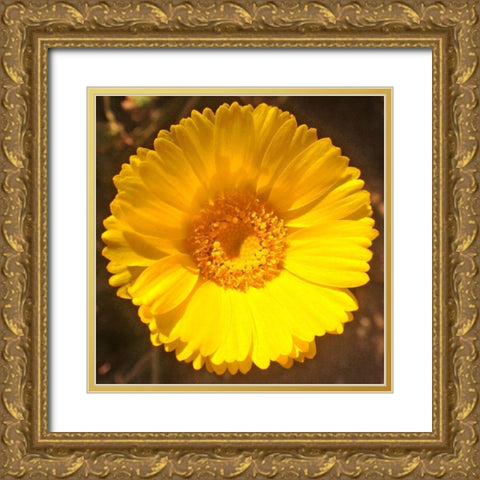 Yellow Cluster II Gold Ornate Wood Framed Art Print with Double Matting by Grayscale