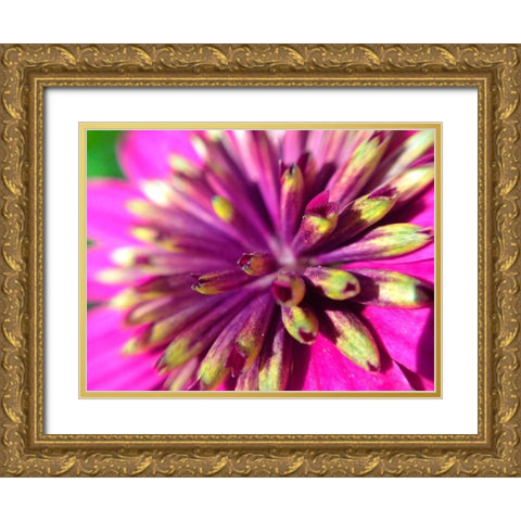 Pink Cluster III Gold Ornate Wood Framed Art Print with Double Matting by Grayscale