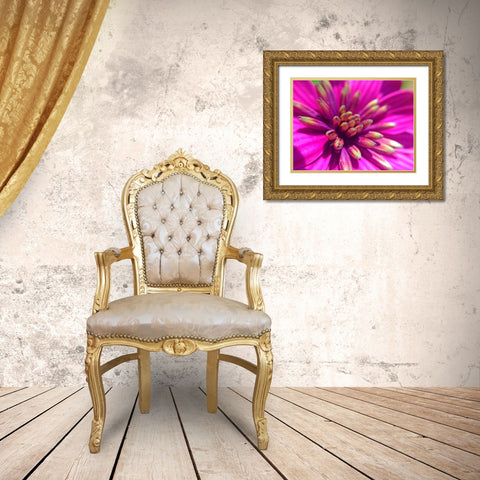 Pink Cluster IV Gold Ornate Wood Framed Art Print with Double Matting by Grayscale