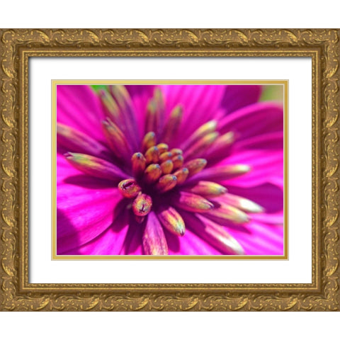 Pink Cluster IV Gold Ornate Wood Framed Art Print with Double Matting by Grayscale