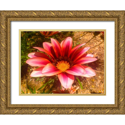 Candy Striped Bloom II Gold Ornate Wood Framed Art Print with Double Matting by Grayscale
