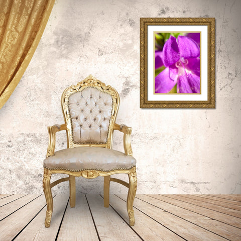 Purple Bloom II Gold Ornate Wood Framed Art Print with Double Matting by Grayscale