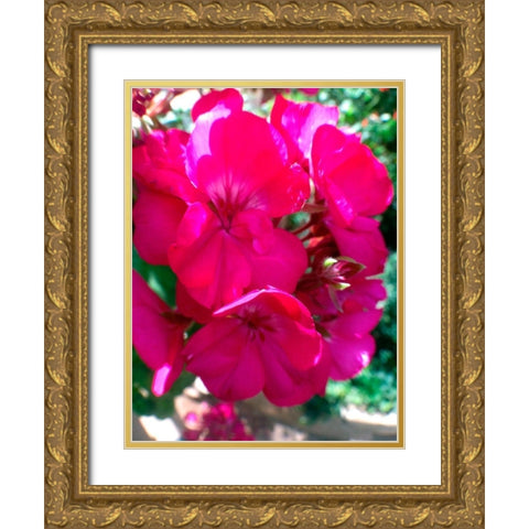 Red Begonias I Gold Ornate Wood Framed Art Print with Double Matting by Grayscale