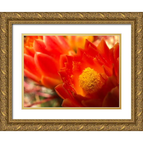 Natural Reactor IV Gold Ornate Wood Framed Art Print with Double Matting by Grayscale