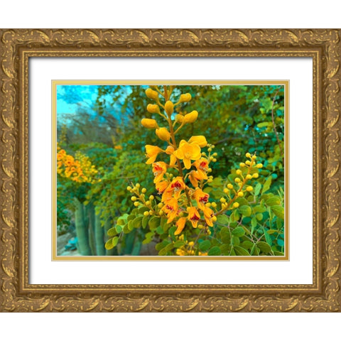 Yellow Blooms I Gold Ornate Wood Framed Art Print with Double Matting by Grayscale