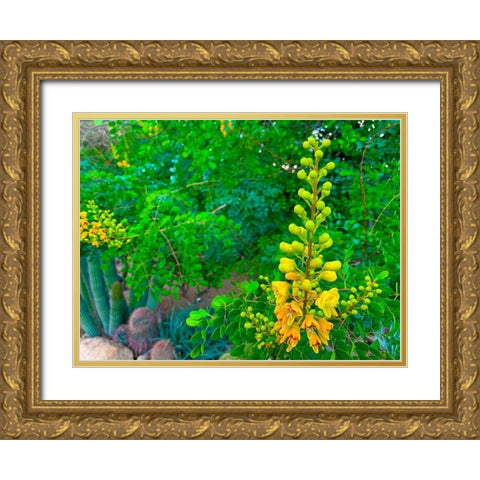 Yellow Blooms II Gold Ornate Wood Framed Art Print with Double Matting by Grayscale