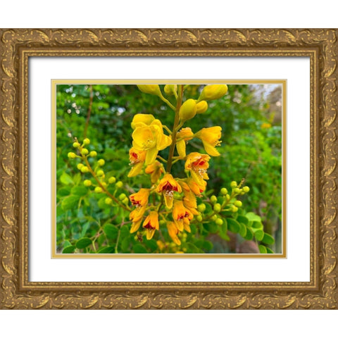 Yellow Blooms III Gold Ornate Wood Framed Art Print with Double Matting by Grayscale