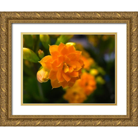 Yellow Blooms VI Gold Ornate Wood Framed Art Print with Double Matting by Grayscale