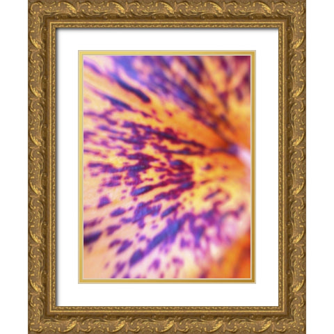 Lava Leaf I Gold Ornate Wood Framed Art Print with Double Matting by Grayscale