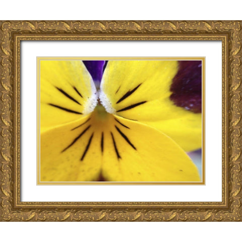 Yellow Flower I Gold Ornate Wood Framed Art Print with Double Matting by Grayscale
