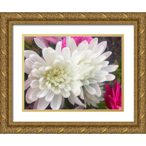 White Flowers I Gold Ornate Wood Framed Art Print with Double Matting by Grayscale