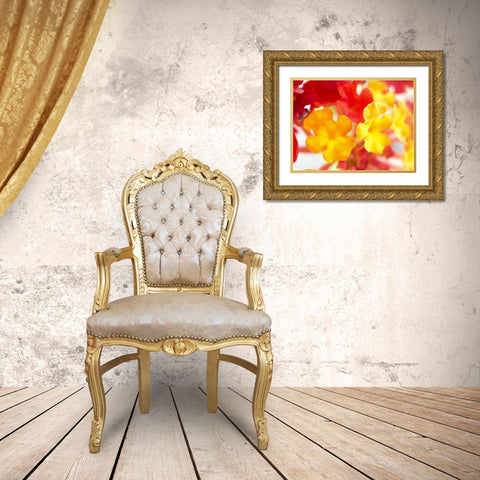 Lantana VI Gold Ornate Wood Framed Art Print with Double Matting by Grayscale