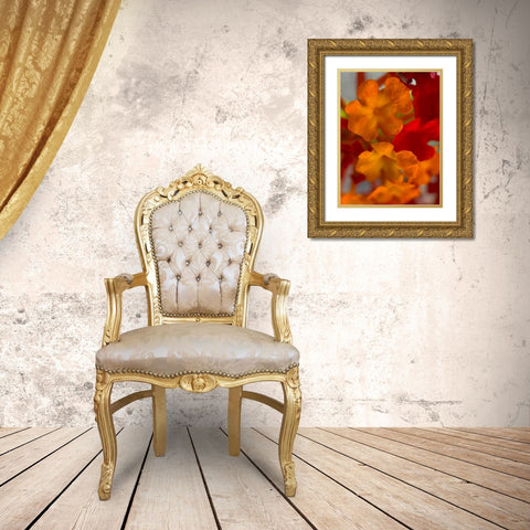Lantana VII Gold Ornate Wood Framed Art Print with Double Matting by Grayscale