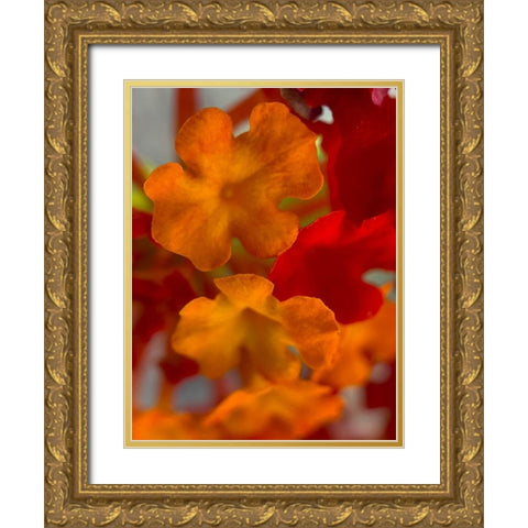 Lantana VII Gold Ornate Wood Framed Art Print with Double Matting by Grayscale