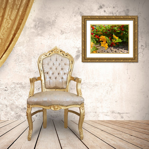 Lantana IX Gold Ornate Wood Framed Art Print with Double Matting by Grayscale