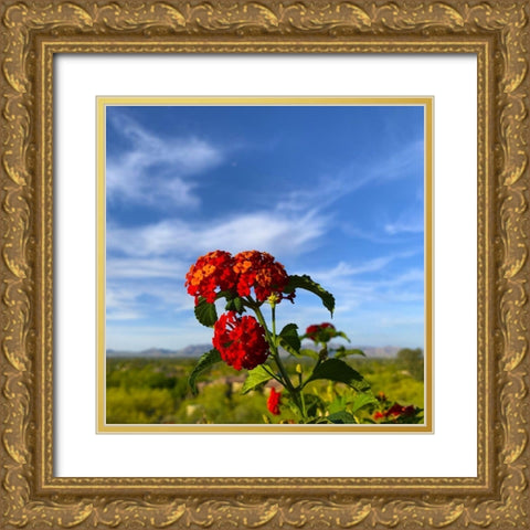 Lantana X Gold Ornate Wood Framed Art Print with Double Matting by Grayscale