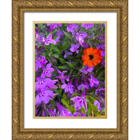 Flower Spot I Gold Ornate Wood Framed Art Print with Double Matting by Grayscale