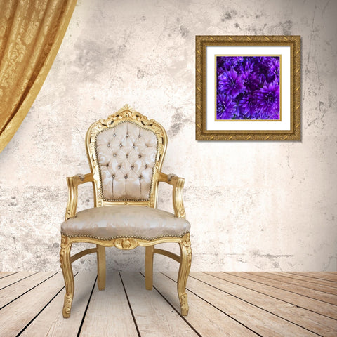 Purple Bloom III Gold Ornate Wood Framed Art Print with Double Matting by Grayscale