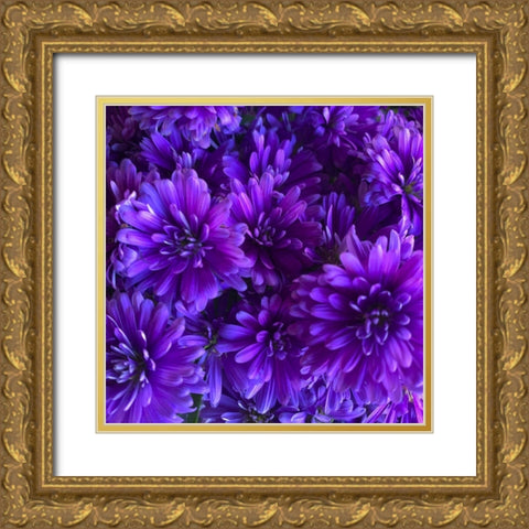 Purple Bloom III Gold Ornate Wood Framed Art Print with Double Matting by Grayscale