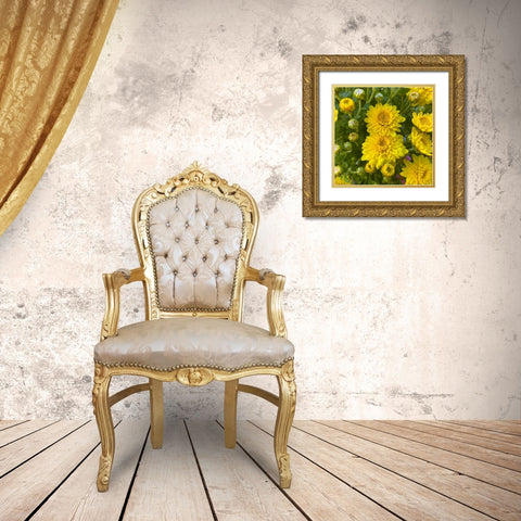 Yellow Blooms VIII Gold Ornate Wood Framed Art Print with Double Matting by Grayscale