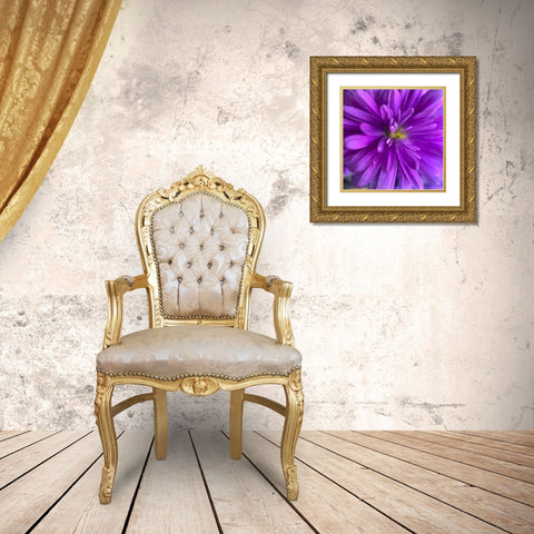 Purple Bloom V Gold Ornate Wood Framed Art Print with Double Matting by Grayscale