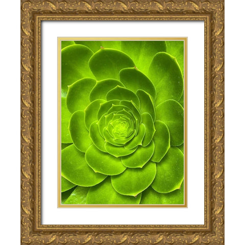 Green Bloom I Gold Ornate Wood Framed Art Print with Double Matting by Grayscale