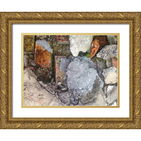 Old Brick Wall I Gold Ornate Wood Framed Art Print with Double Matting by Grayscale