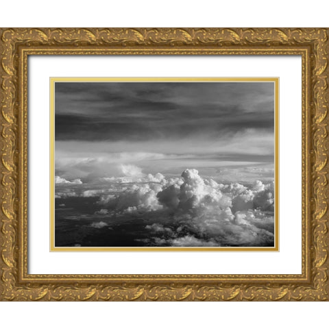 Cloudy Sky VI Gold Ornate Wood Framed Art Print with Double Matting by Grayscale