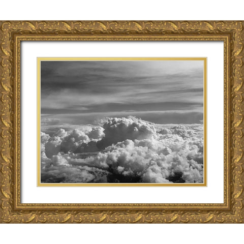 Cloudy Sky VII Gold Ornate Wood Framed Art Print with Double Matting by Grayscale