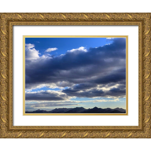 McDowell Mountains Gold Ornate Wood Framed Art Print with Double Matting by Grayscale