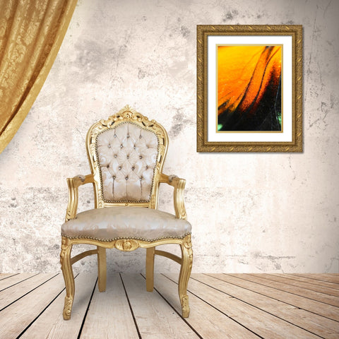 Butterfly Wing II Gold Ornate Wood Framed Art Print with Double Matting by Grayscale
