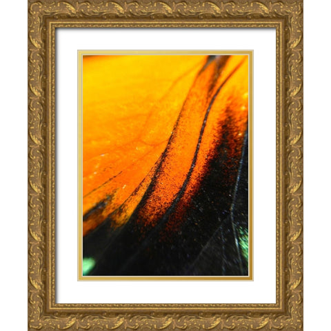 Butterfly Wing II Gold Ornate Wood Framed Art Print with Double Matting by Grayscale