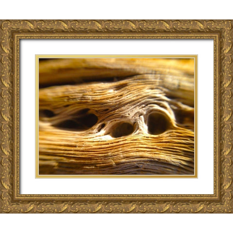 Wood Fiber II Gold Ornate Wood Framed Art Print with Double Matting by Grayscale