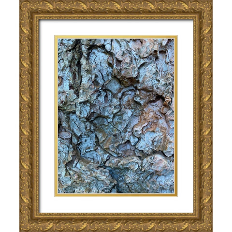 Bark Scales I Gold Ornate Wood Framed Art Print with Double Matting by Grayscale