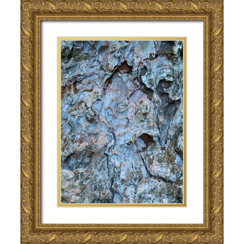 Bark Scales III Gold Ornate Wood Framed Art Print with Double Matting by Grayscale
