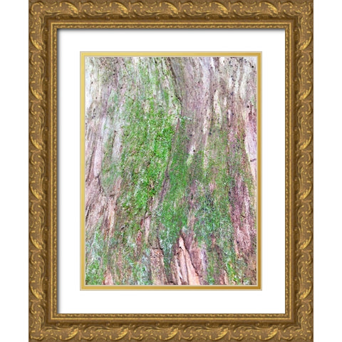 Bark and Moss II Gold Ornate Wood Framed Art Print with Double Matting by Grayscale