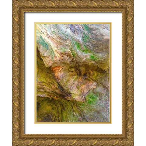 Bark Lava II Gold Ornate Wood Framed Art Print with Double Matting by Grayscale