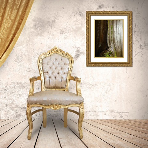 Bark and Moss IV Gold Ornate Wood Framed Art Print with Double Matting by Grayscale