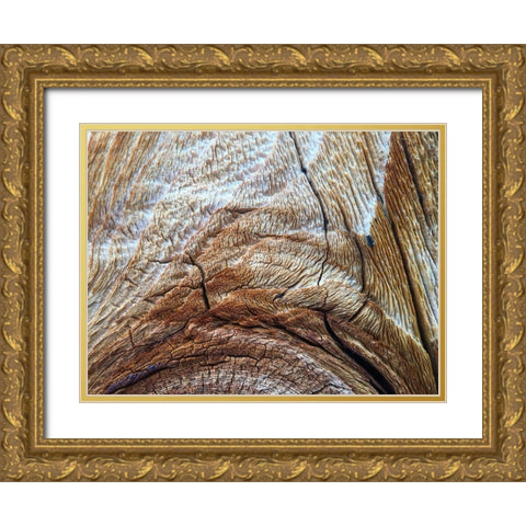 Bark Arc I Gold Ornate Wood Framed Art Print with Double Matting by Grayscale